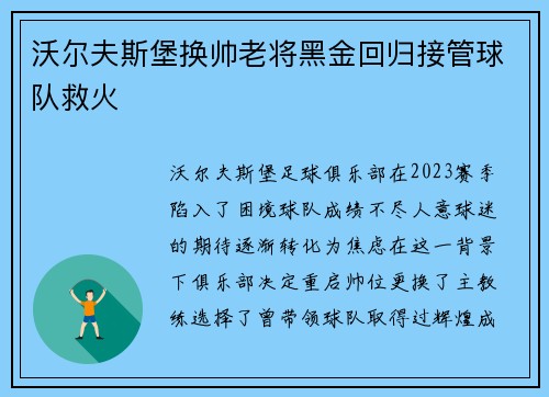 沃尔夫斯堡换帅老将黑金回归接管球队救火